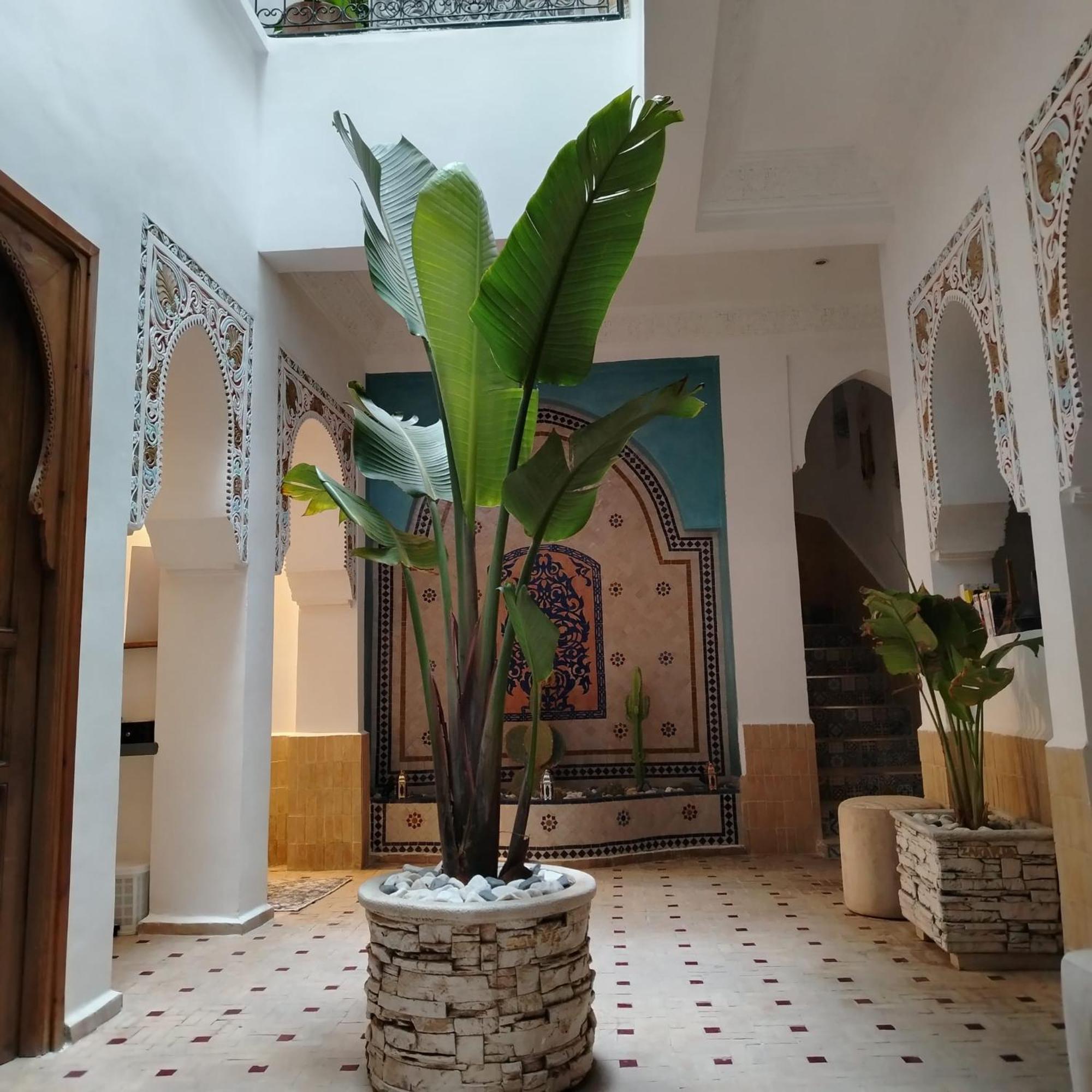 Riad & Spa Sous Le Soleil Chez Jerome Et Pamela Ch Marrakchi Marrákes Kültér fotó